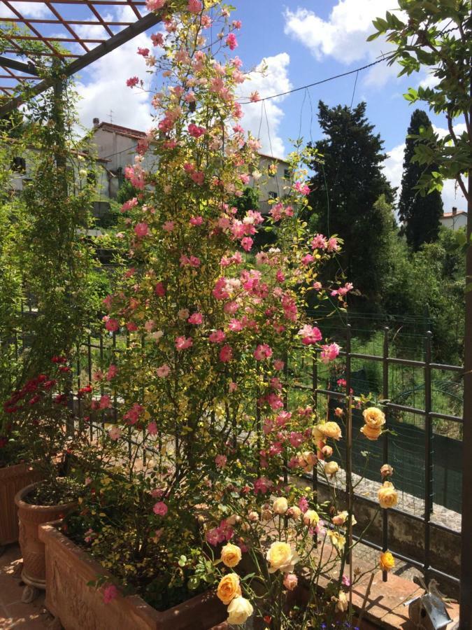 Gasthaus La Casina Delle Rondini Corsanico-Bargecchia Exterior foto
